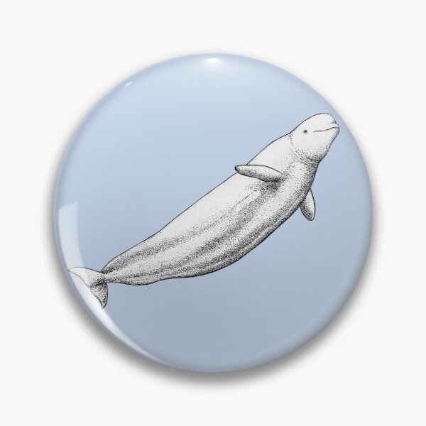 Item preview, Beluga whale (Delphinapterus leucas) ink artwork designed and sold by chloeyzoard.