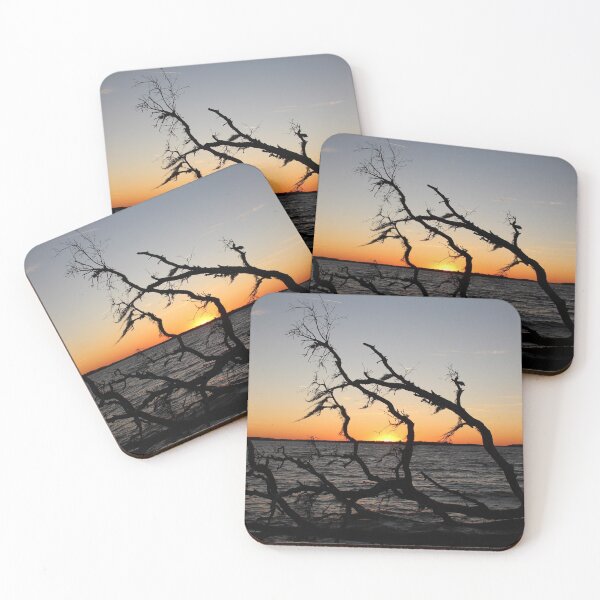Item preview, Driftwood Sunset designed and sold by Bob Hardy.