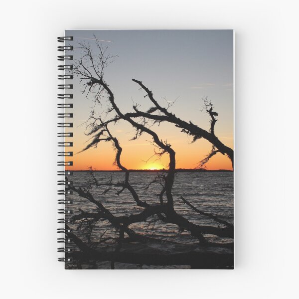 Item preview, Driftwood Sunset designed and sold by Bob Hardy.