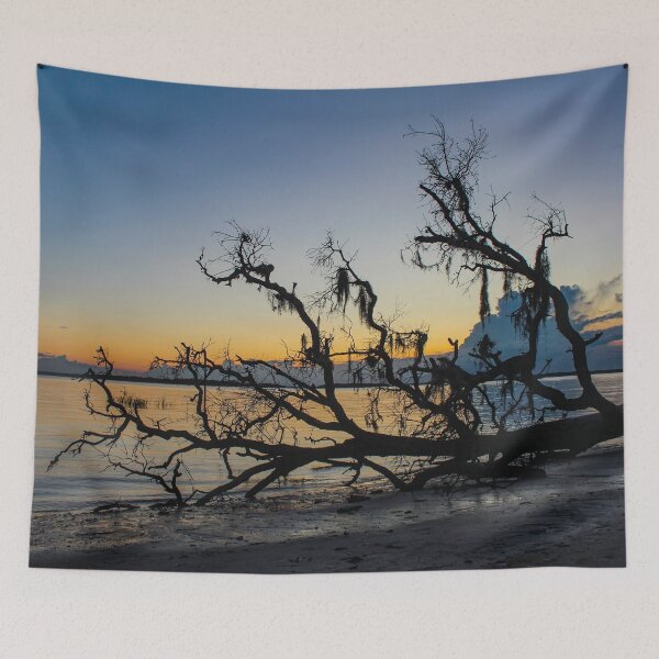 Item preview, Driftwood Beach designed and sold by Bob Hardy.