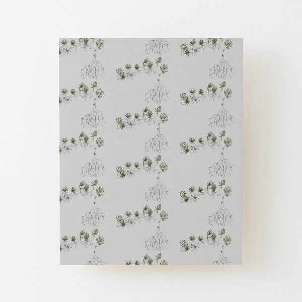 Sketchy Sedum Wood Mounted Print