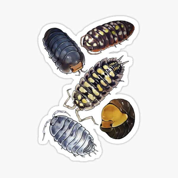 Item preview, Isopods! designed and sold by Morgan Carpenter.