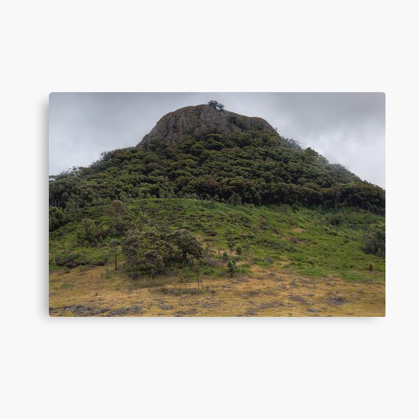 Item preview, Warrumbungle National Park • NSW • Australia designed and sold by William Bullimore.
