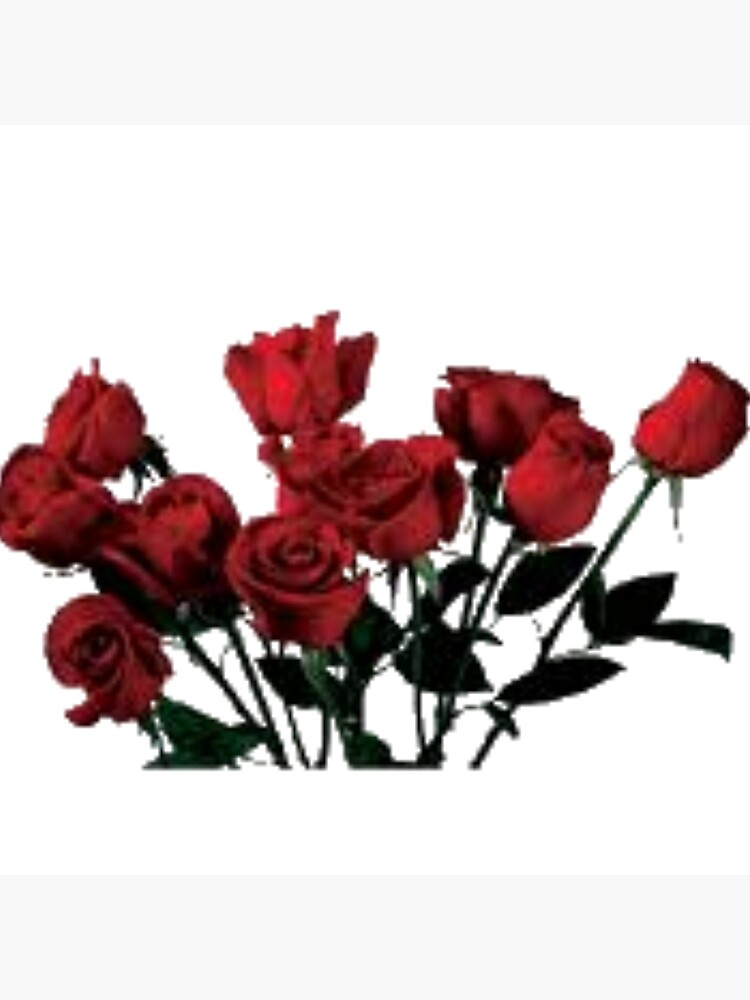 Bolsa de tela «Paquete de rosas PNG rosas negras rosas rojas estética» de  yeradoll | Redbubble
