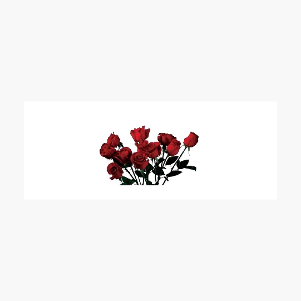 Bundle Of Roses Png Black Roses Red Roses Aesthetic Poster By Yeradoll Redbubble