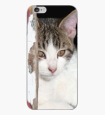 Little Kitty iPhone Case
