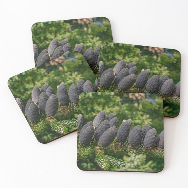 Item preview,  subalpine fir cones designed and sold by Martin Leber.