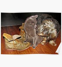 Bella's Boots Poster