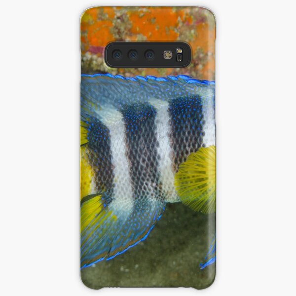Eastern Blue Devil - Paraplesiops bleekeri Samsung Galaxy Snap Case