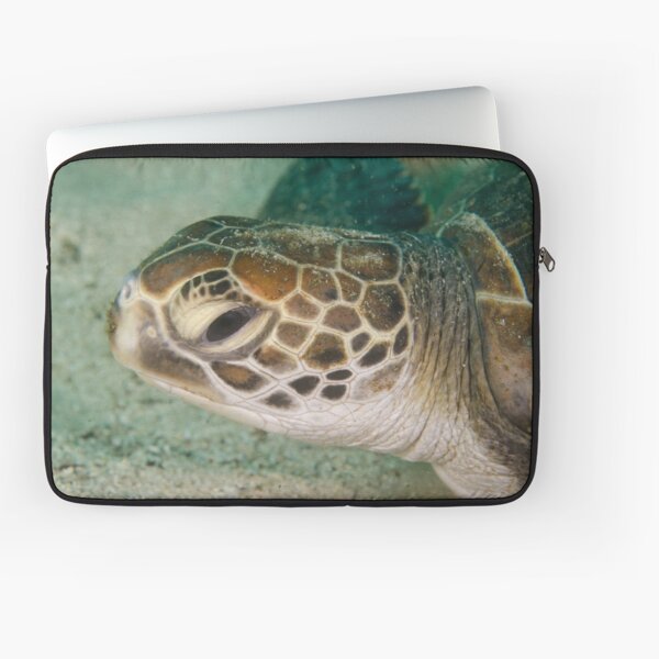 Green Turtle - Chelonia mydas Laptop Sleeve