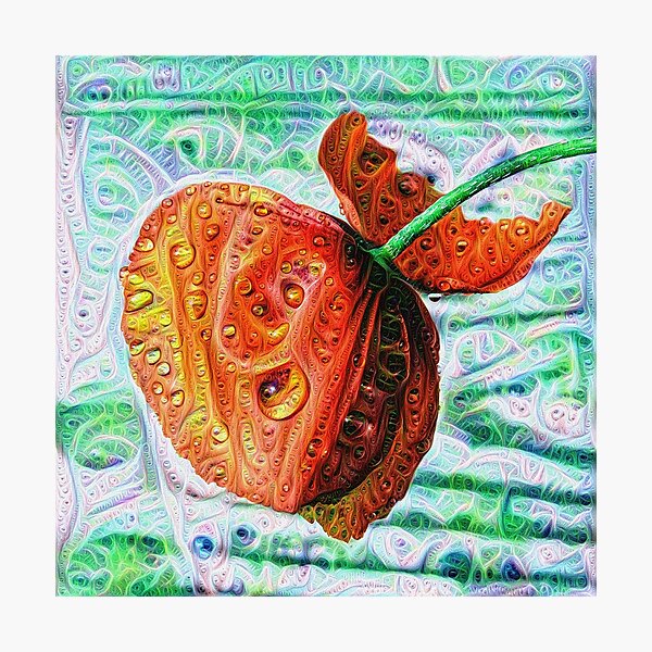 #DeepDreamed Flower 5x5K v1449147619 Photographic Print