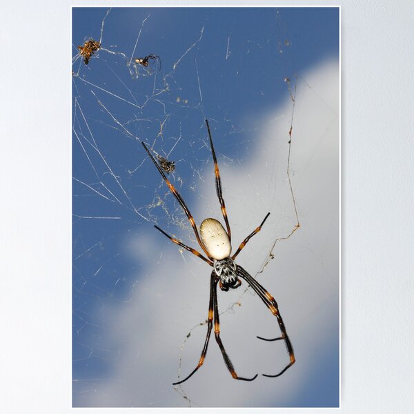 Orb ............ Poster