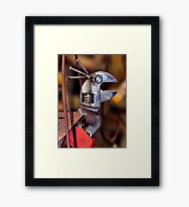 Quit Your Squawking! Framed Print