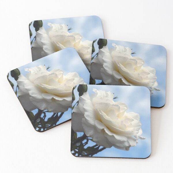 Item preview, White Rose in sky designed and sold by Woodie.