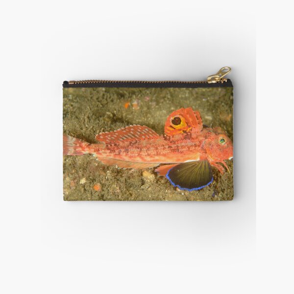 Item preview, Southern Spiny Gurnard - Lepidotrigla pleuracanthica designed and sold by Andrew Trevor-Jones.