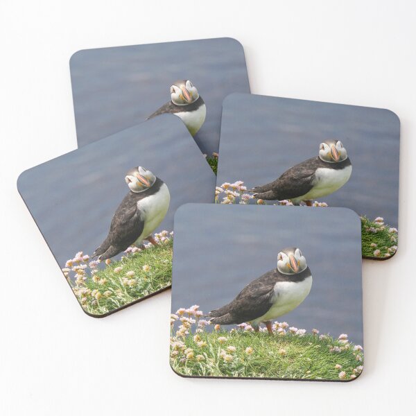 Puffin in pink flowers Coasters (Set of 4)
