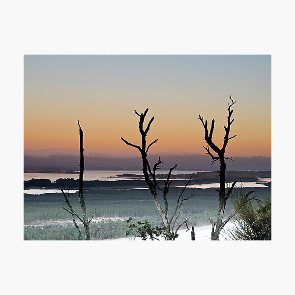 manuka and the sea 2 Photographic Print