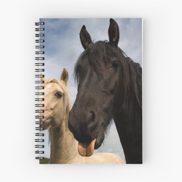 Item preview, "Well photograph this !!!" designed and sold by Raymond Kerr.