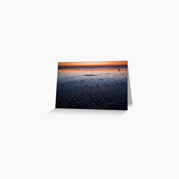 Herons Flight Greeting Card