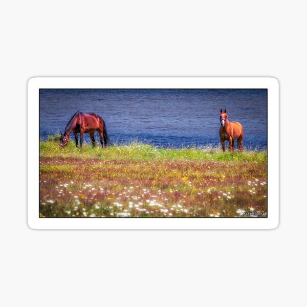 Margaree Gifts & Merchandise for Sale Redbubble