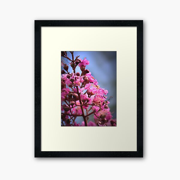 Item preview, Crepe Myrtle designed and sold by BrettSimpson.