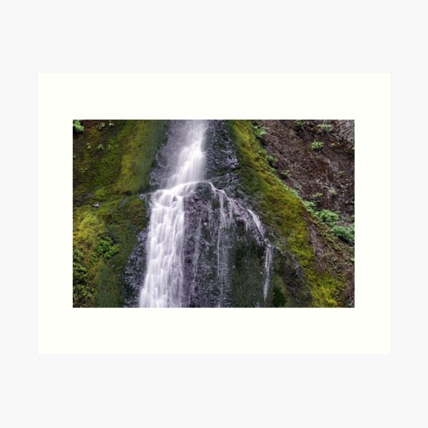 Water Flow on Moss Art Print
