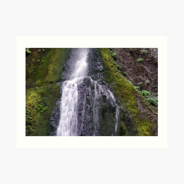 Water Flow on Moss Art Print
