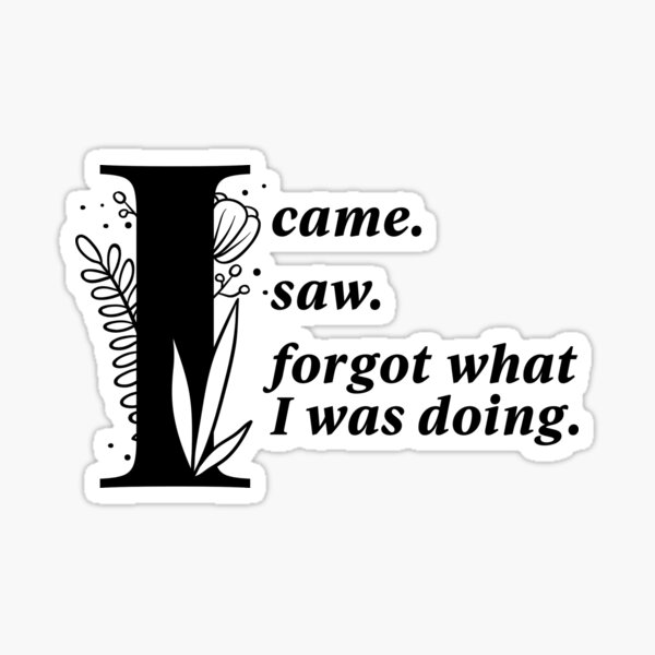 Item preview, I CAME. I SAW. I FORGOT. designed and sold by Stephanie "Coco" Landry.