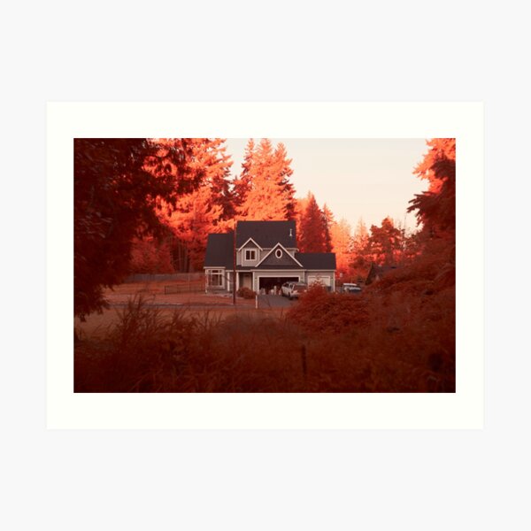 Aerochrome Home Art Print