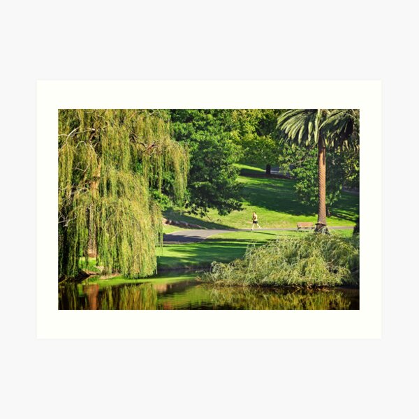 Coburg Lake Art Print