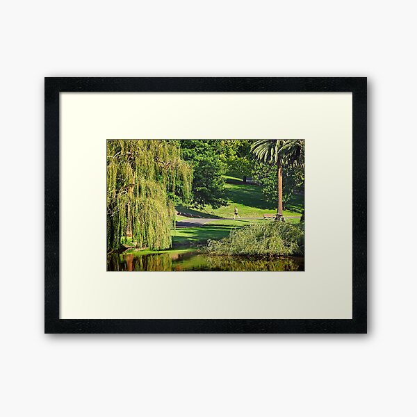 Coburg Lake Framed Art Print