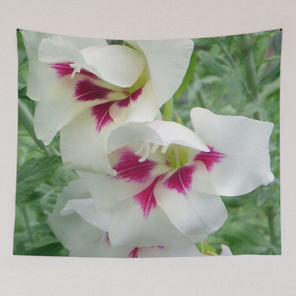 Item preview, Summer Gladness designed and sold by Betty Mackey.