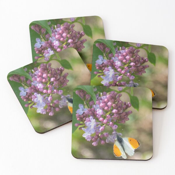 Item preview, Orange Tip enjoying the Spring Lilac designed and sold by Kasia Design.