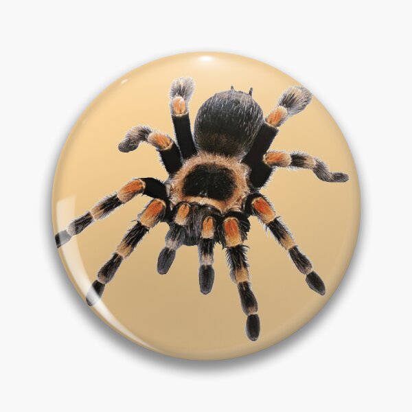 Item preview, little spider, tarantula, spider designed and sold by Viktoriia Trubiichuk.