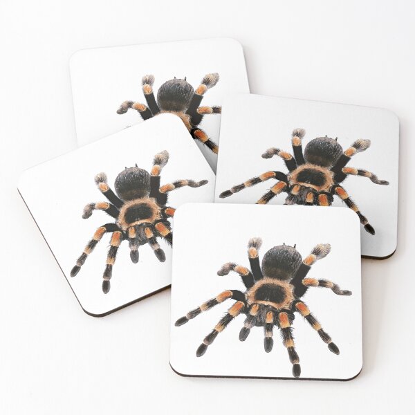 Item preview, little spider, tarantula, spider designed and sold by Viktoriia Trubiichuk.