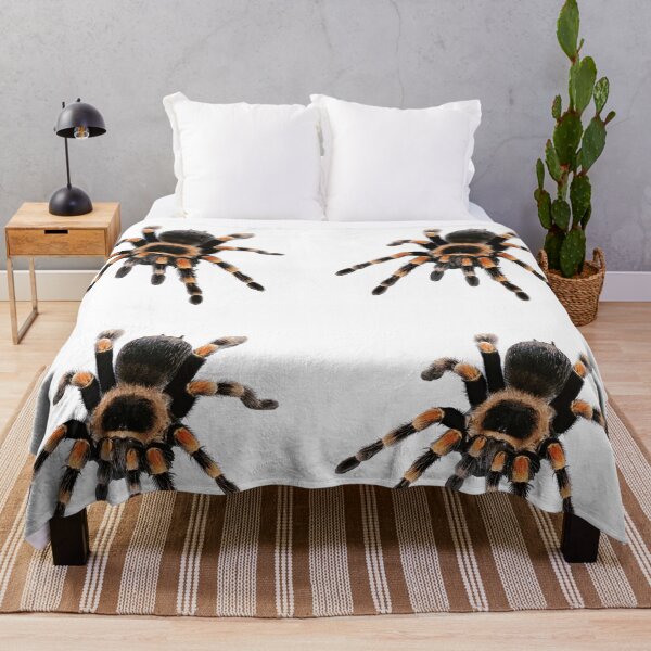 Item preview, little spider, tarantula, spider designed and sold by Viktoriia Trubiichuk.