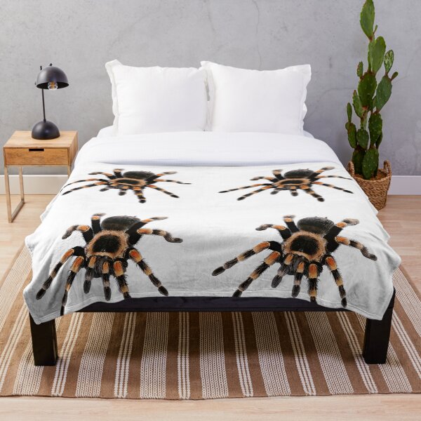 Item preview, little spider, tarantula, spider designed and sold by Viktoriia Trubiichuk.