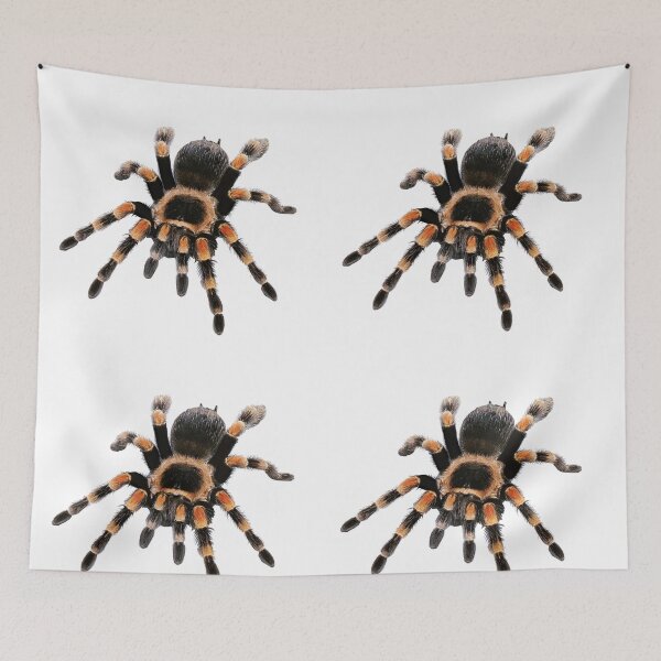 Item preview, little spider, tarantula, spider designed and sold by Viktoriia Trubiichuk.