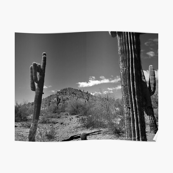 Phoenix, Arizona Poster