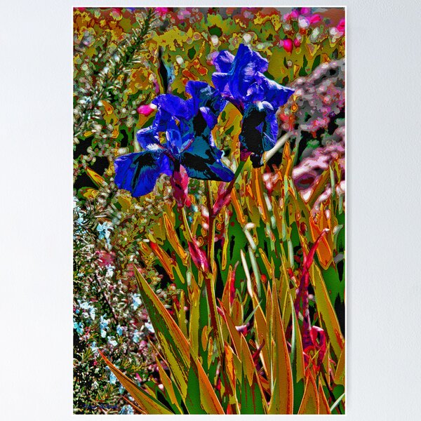 Item preview, Blue Irises designed and sold by Nira Dabush.