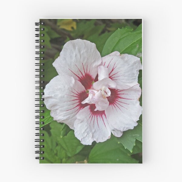 Item preview, Hibiscus flower. designed and sold by Margaret  Hyde.
