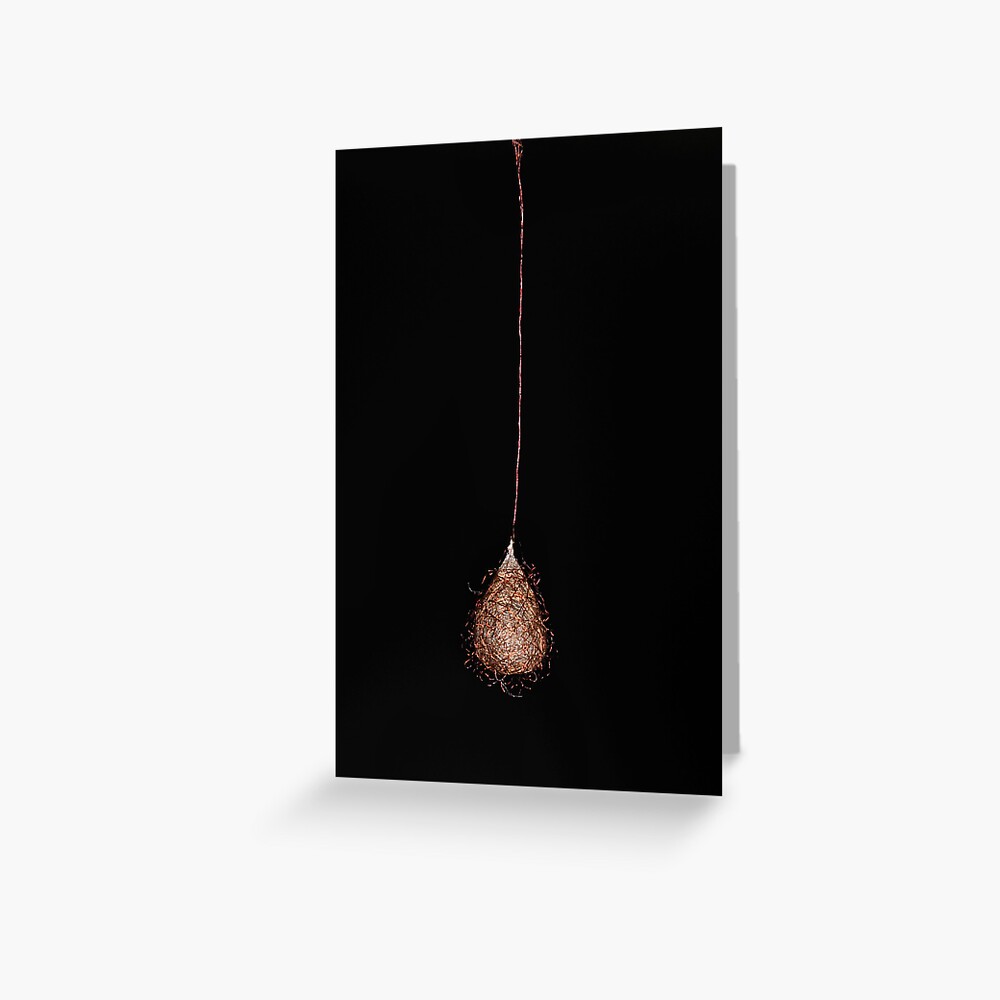 Item preview, Greeting Card designed and sold by pauleden.