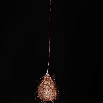 Artwork thumbnail, Silken Pendant by pauleden