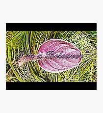 *Beleaver* Photographic Print