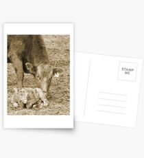 Nudge Postcards