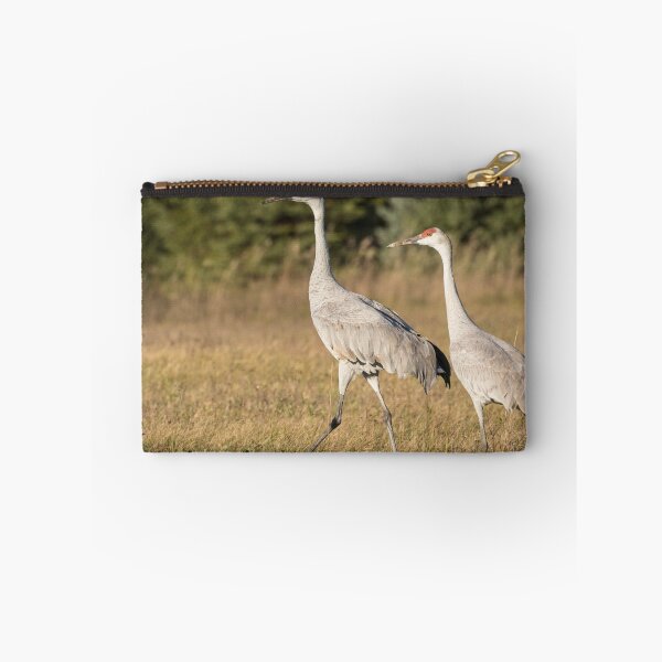 Item preview, Sandhill Family 2015-1 designed and sold by Thomasyoung.
