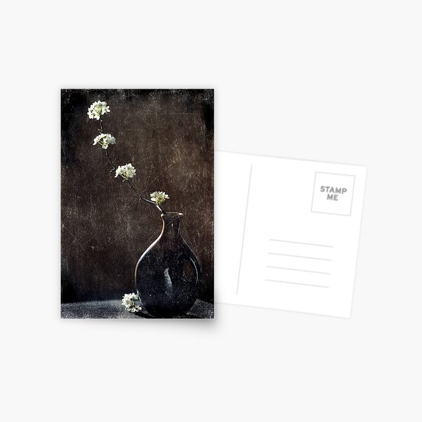 Poiriers dans Ombre et Lumière Postcard