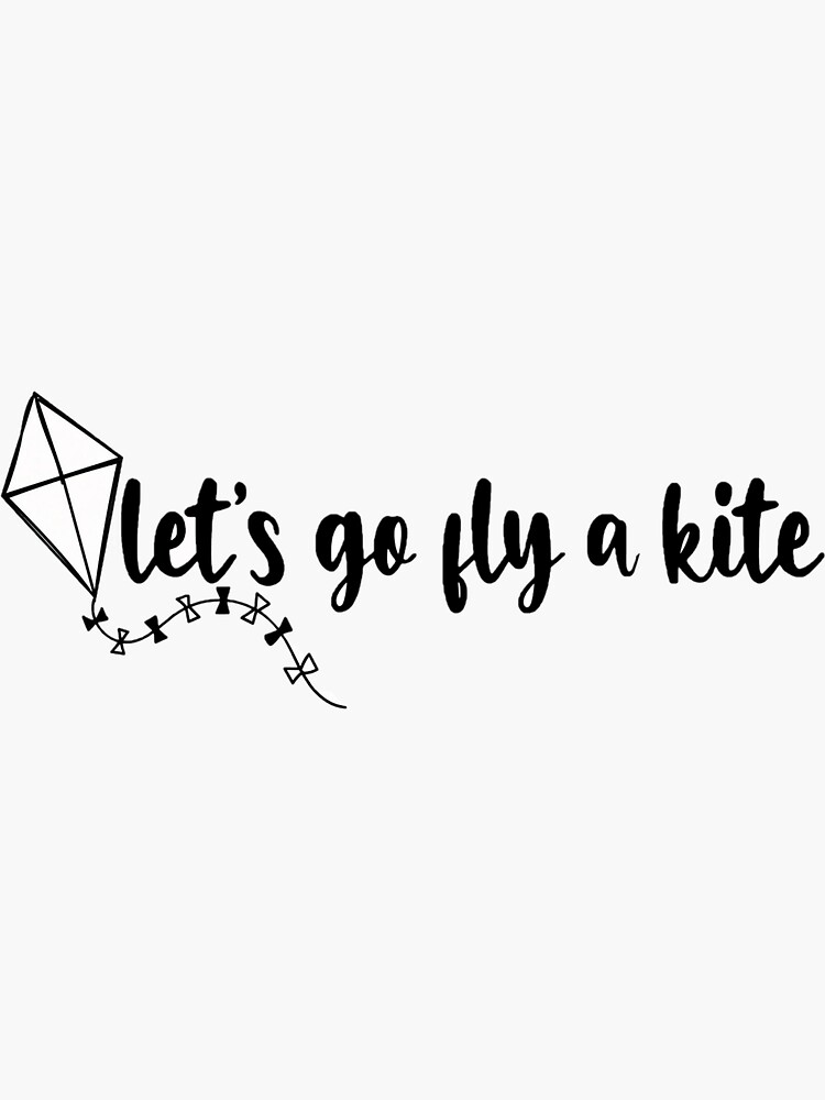 lets go fly a kite book
