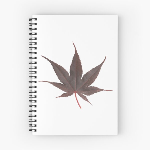 Item preview, Japanese Maple Leaf designed and sold by tvorac.