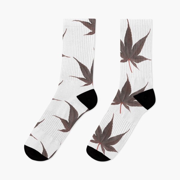 Item preview, Japanese Maple Leaf designed and sold by tvorac.